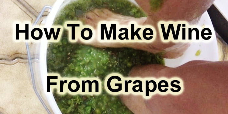 How To Make Wine - From Grapes