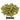 Simcoe Hops - T90 Pellet - 50g, 100g