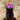 Crown Caps for Beer Bottles - Union Flag - 40 Pack