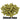 Chinook Hops - T90 Pellet - 50g