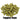 Fuggles Hops - T90 Pellet - 50g