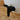 Nut for back of KingKeg / Bucket Tap (Black)