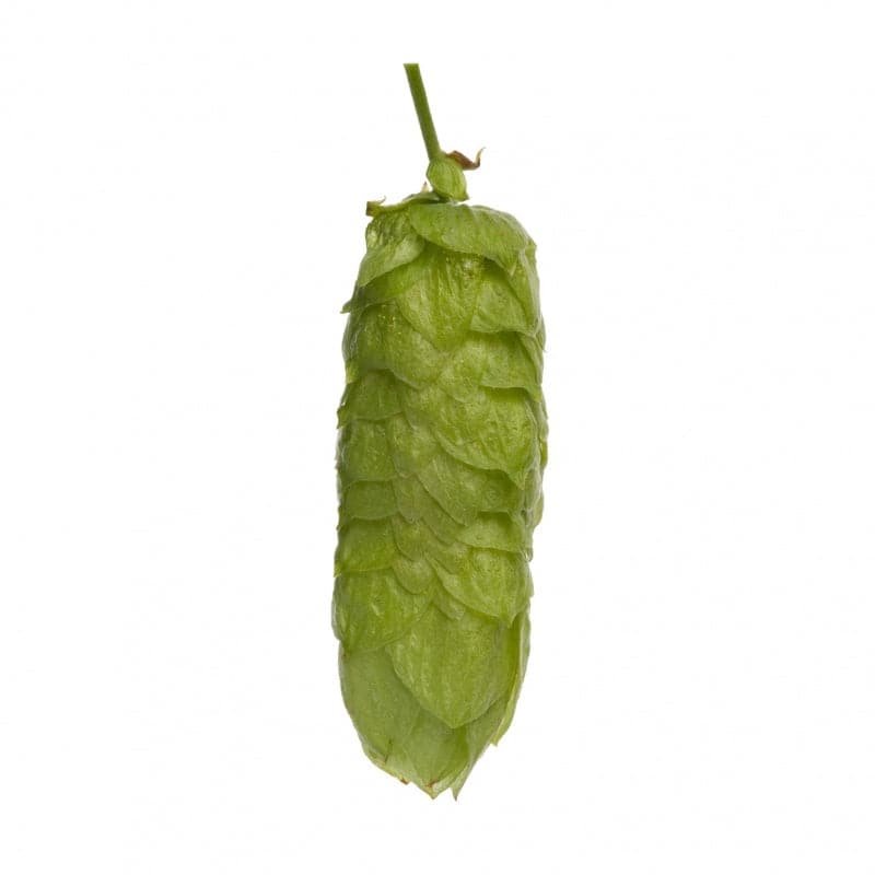 Pacific Gem Hops - Pellet - 50g