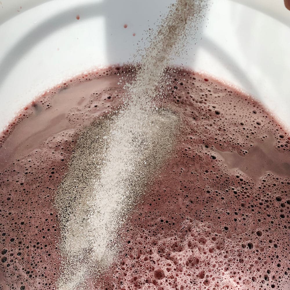 Bordeaux Red Wine Yeast - 5g - Youngs