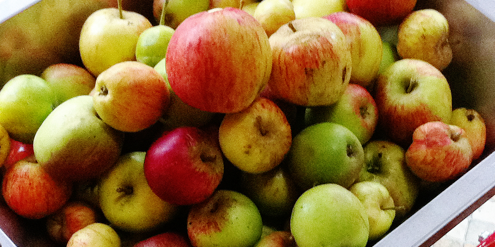 What to do if you don't have enough apples to make cider?