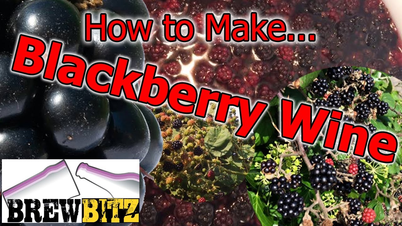 Our Most Popular HomeBrew YouTube Video - Blackberry Wine