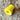 Rubber Air-Lock Grommet Seal for brewing bucket lid - Yellow 15mm