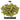 Centennial Hops - Pellet - 50g