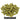 Centennial Hops - Pellet - 50g, 100g