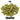 Ekuanot USA Hops - T90 Pellet - 50g