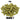 Idaho 7 Hops - T90 Pellet - 50g