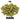 Kohatu Hops - T90 Pellet - 50g
