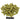 Riwaka Hops - T90 Pellet - 50g, 100g