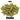 Riwaka Hops - T90 Pellet - 50g, 100g
