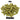 Riwaka Hops - T90 Pellet - 50g, 100g