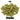 Riwaka Hops - T90 Pellet - 50g, 100g