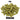 Simcoe Hops - T90 Pellet - 50g
