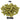 Strata Hops - T90 Pellet - 50g
