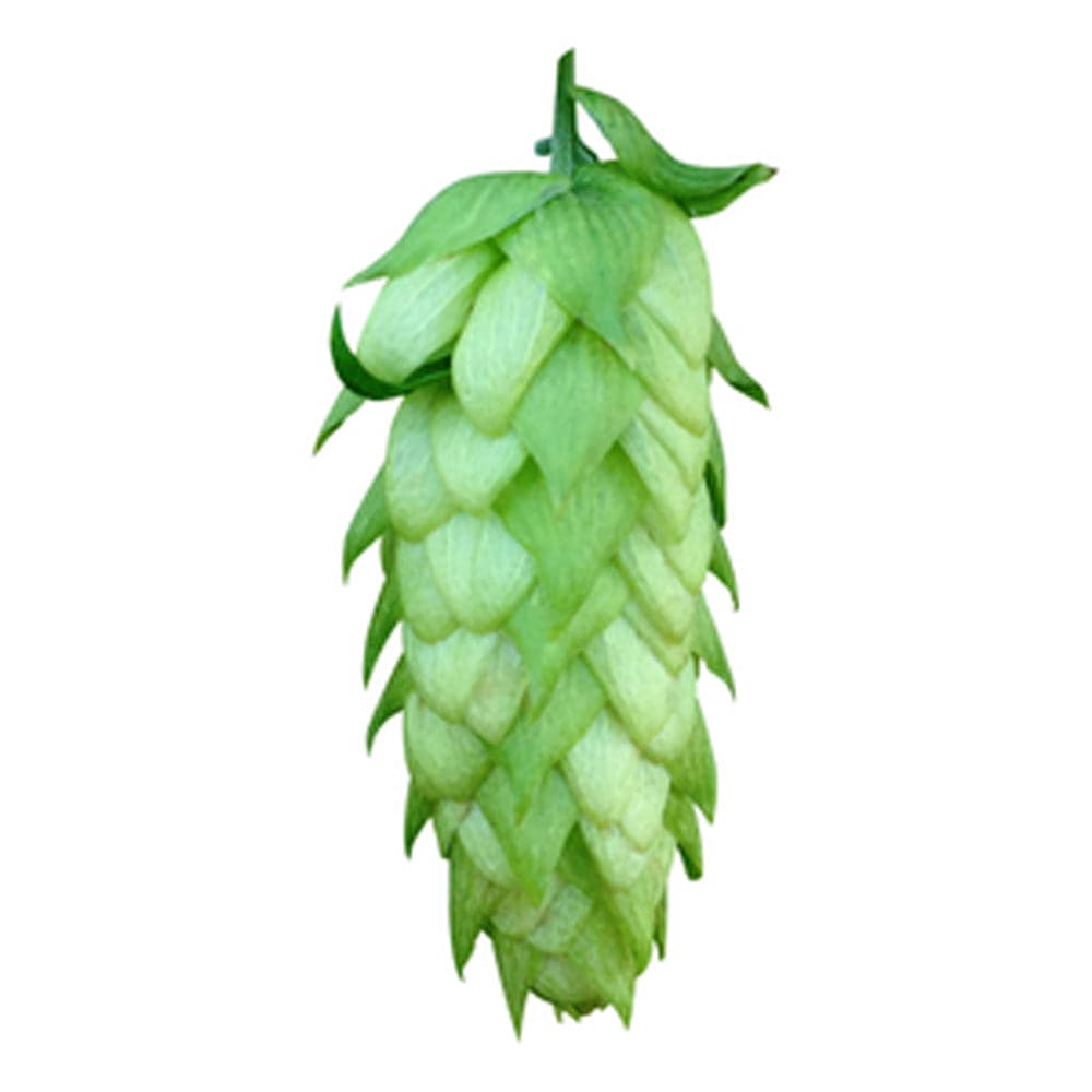 Amarillo Hops - Pellet - 50g