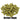 Archer Hops - T90 Pellet - 50g