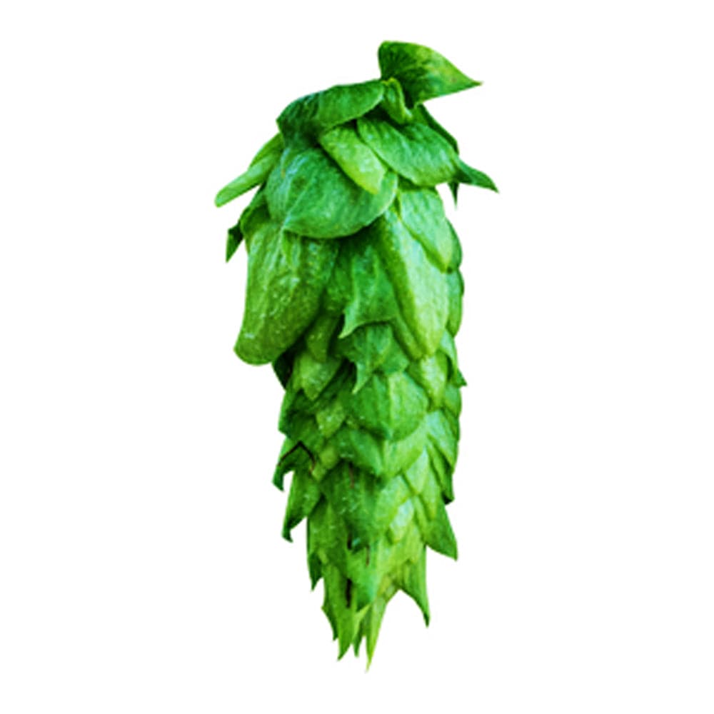 Chinook Hops - T90 Pellet - 50g