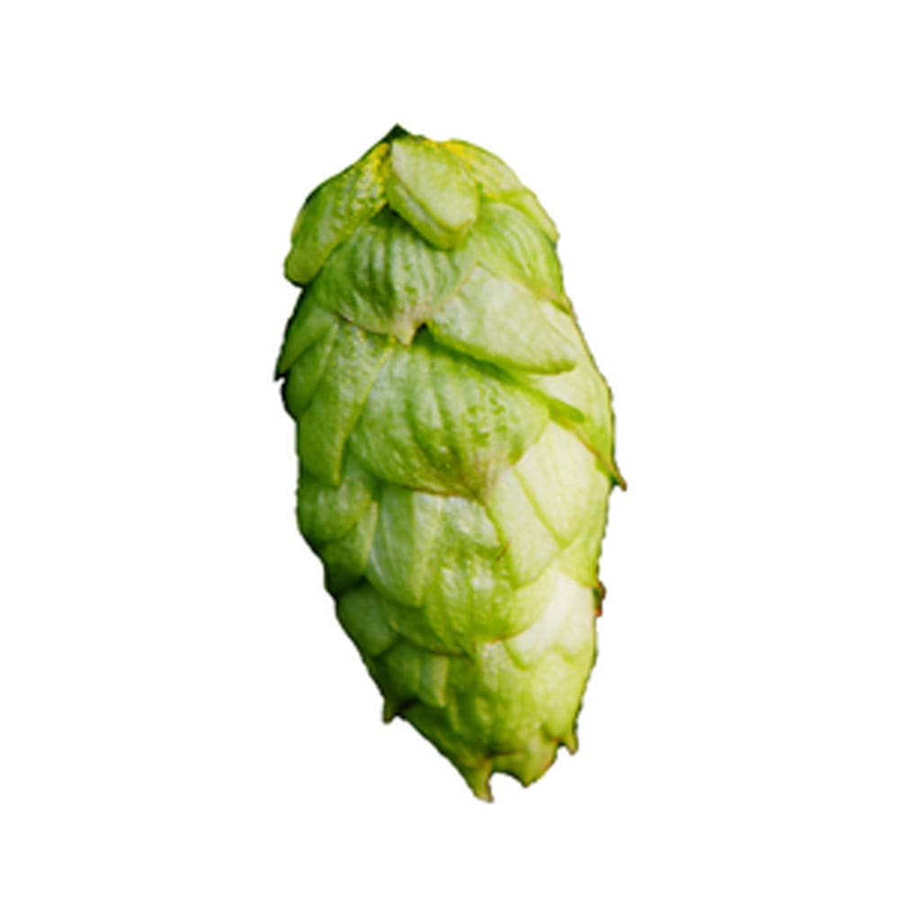 Citra Hops - T90 Pellet 