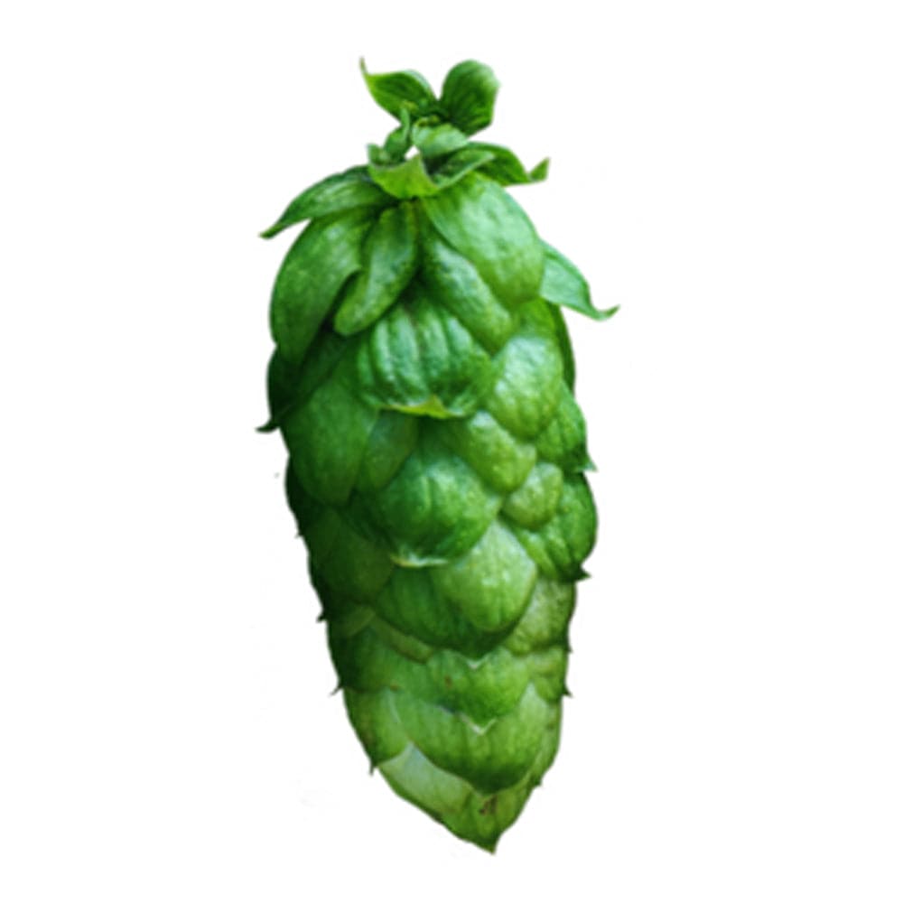 Jester Hops T45 - Pellet - 50g