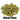 Mosaic Hops - T90 Pellet - 50g