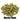 Mystic Hops - T90 Pellet - 50g
