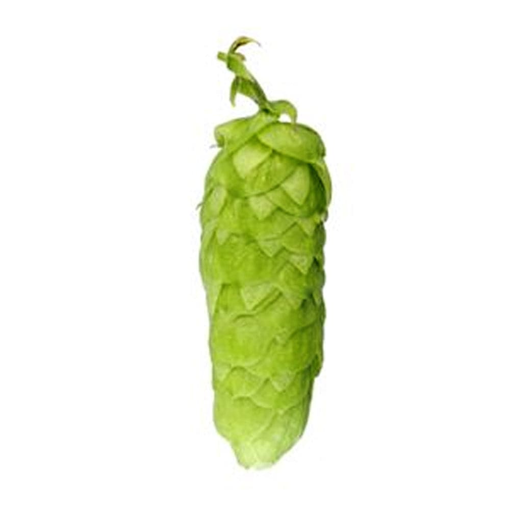 Nelson Sauvin Hops - T90 Pellet