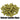 Nelson Sauvin Hops T90 - Pellet - 50g