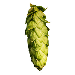 Olicana Hops - T90 Pellet - 50g