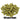 Olicana Hops - T90 Pellet - 50g