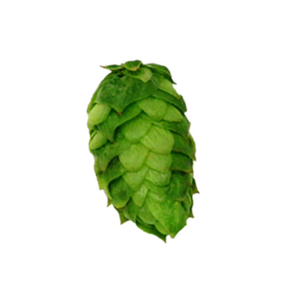 Simcoe Hops - T90 Pellet